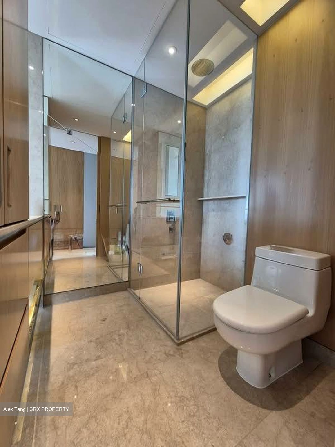 Ardmore Residence (D10), Condominium #560780911